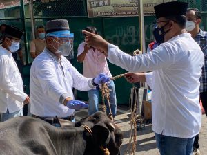 POLRESTA BARELANG Sembelih Hewan Qurban Sebanyak 6 Ekor Sapi dan 22 Ekor Kambing