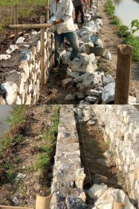 Diduga, Tidak Memiliki Juknis dan Juklak Atas Pembangunan Irigasi Kronjo