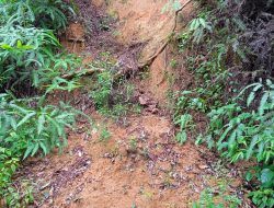 Himbauan BPDB Anambas, Waspada Terjadi Longsor Akibat Curah Hujan Disertai Angin Kencang