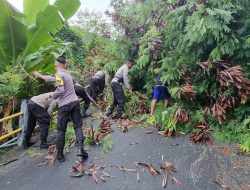 Kapolsek Siantan Respon Cepat, Evakuasi Pohon Tumbang Hingga Menutupi Badan Jalan