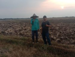 H Mardi Dapat Apresiasi, Atas Cut And Fill Murni Berdasarkan Keinginan Warga Desa Mekar Baru