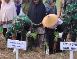 Dorong Swasembada Pangan, Yuliantini Wabup Inhil Hadiri Penanaman Padi Serentak di Tempuling