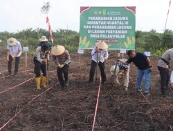 Dukung Ketahanan Pangan Nasional, Pemkab dan Polres Inhil Kolaborasi Sukseskan Tanam Jagung Serentak