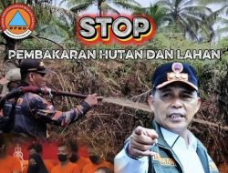 Cegah Karhutla, Bupati Inhil Instruksikan Camat dan Kades Tingkatkan Kewaspadaan Saat Musim Kemarau