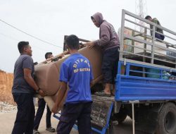 Update Pergeseran Warga Rempang, 125 KK Tempati Rumah Baru di Tanjung Banon