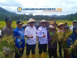 Kelompok Tani Tri Tunggal Sukses Panen 6 Ton Padi dari Lahan 2 Hektare