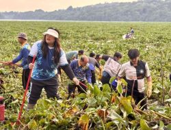 Aksi BP Batam Bersihkan Waduk Duriangkang, Jaga Kualitas Sumber Air