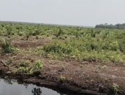 PT GIN–Koperasi Rindang Benua Dituding Kuasai Lahan Warga Secara Sepihak