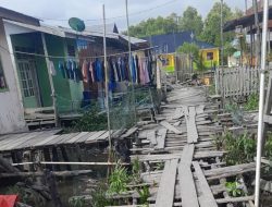 Bertahun-tahun Keluhan Warga Tak Digubris. Akses Menuju SMA Negeri 1 Concong Rusak Parah, Ancam Keselamatan Pelajar.