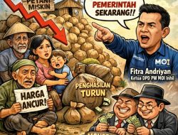 Harga Kelapa Bulat di Inhil Menuju Titik Terendah, DPD PW MOI Inhil: Ratusan Ribu Petani Kelapa Terancam Miskin