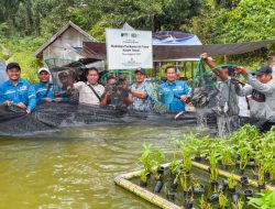 Kabupaten Kayong Utara Tunjukkan Tren Positif Pertumbuhan Ekonomi, PSN di Pulau Penebang jadi Penggerak Perekonomian