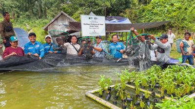 Kabupaten Kayong Utara Tunjukkan Tren Positif Pertumbuhan Ekonomi, PSN di Pulau Penebang jadi Penggerak Perekonomian