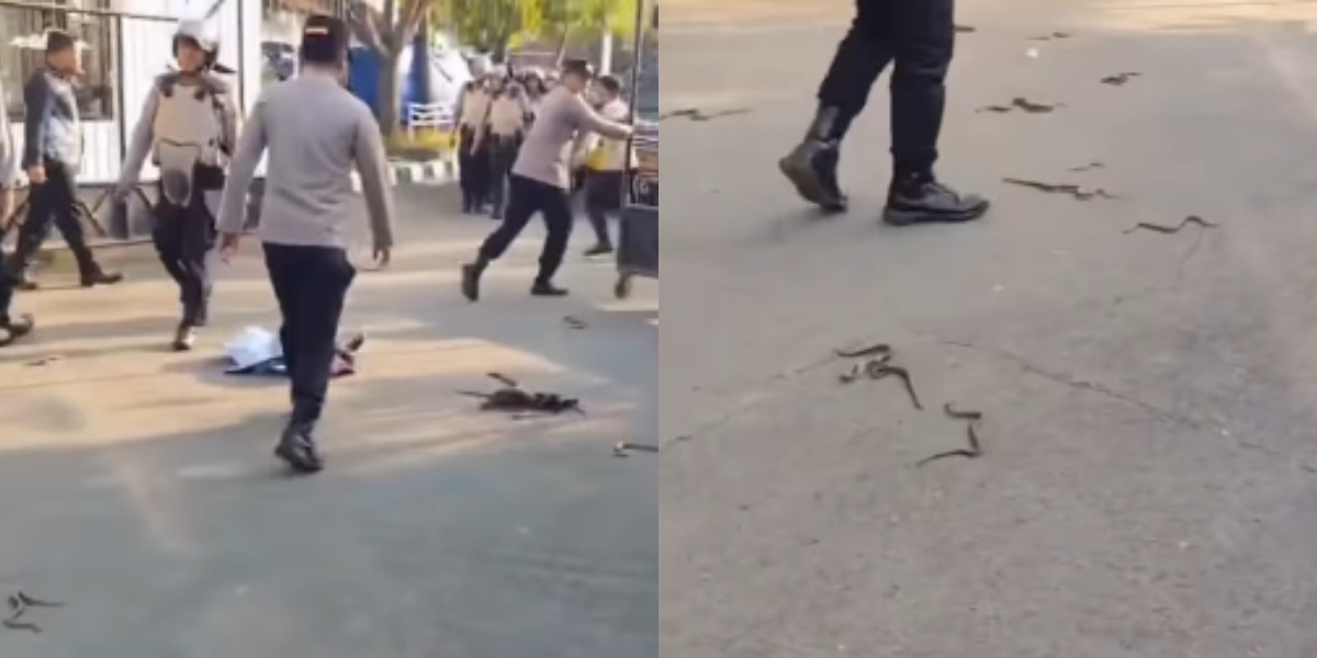 Menyoroti viralnya aksi unjuk rasa di kantor Bupati Indramayu, Lucky Hakim yang diwarnai pelemparan ular oleh massa.  (Instagram.com/@kualimerahputih)