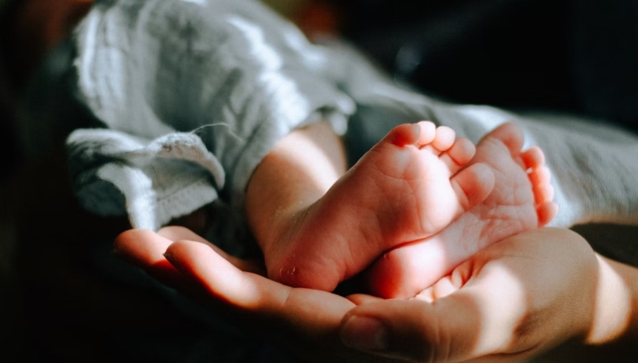 Foto ilustrasi: Polresta Sleman gerebek rumah di Pakem yang jadi penitipan 11 bayi tanpa izin. (Unsplash/Omar Lopez)