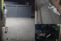 Menyoroti kasus teror pocong keliling yang diduga jadi modus kejahatan baru hingga viral di media sosial. (Instagram.com/@pandemictalks)