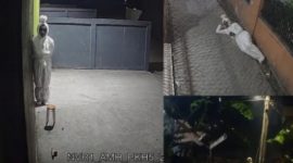 Menyoroti kasus teror pocong keliling yang diduga jadi modus kejahatan baru hingga viral di media sosial.  (Instagram.com/@pandemictalks)