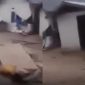 Menyoroti bencana banjir bandang yang melanda 5 desa di wilayah Kabupaten Gorontalo Utara, Provinsi Gorontalo. (Instagram.com/@pandemictalks)