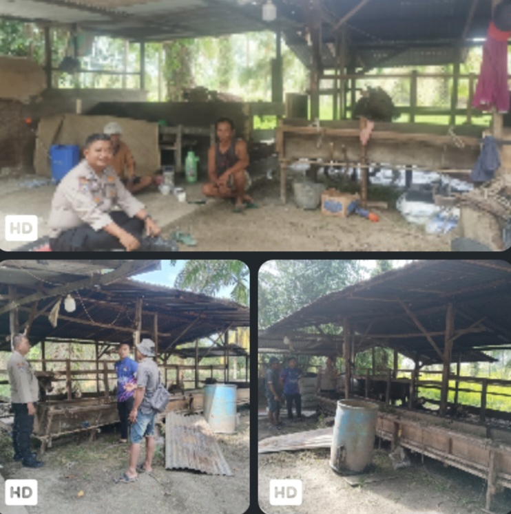 Peternak Sapi di Belading Dikunjungi Polisi, Ini Pesan Kamtibmas yang Disampaikan (dok/rls)