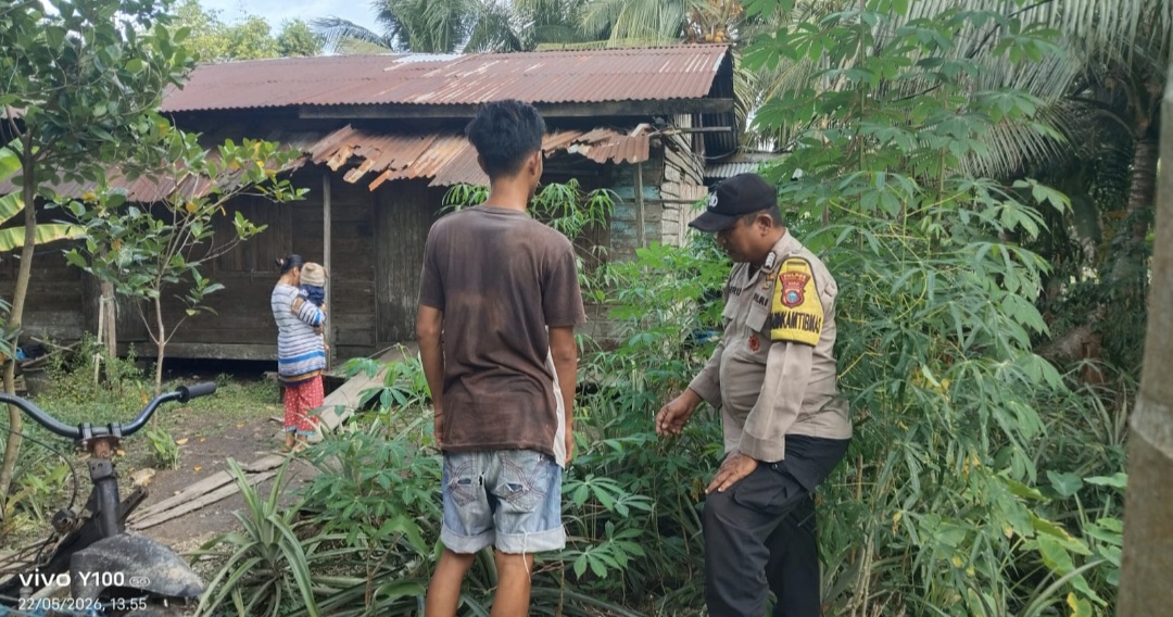 Personel Polsek Enok Pantau Tanaman Pekarangan Warga, Dorong Produktivitas Ekonomi dan Ketahanan Pangan (photo/dok)