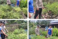 Polsek Keritang Perkuat Ketahanan Pangan Lewat Pendampingan Petani Desa (photo/dok)