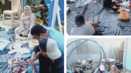 PDAM Tirta Indragiri Sembelih Dua Ekor Sapi Kurban, Perkuat Kepedulian Sosial (photo/dok)