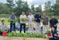 Polres Lingga Panen Perdana 50 Kilogram Pakcoy, Dukung Program Ketahanan Pangan Nasional (dok/photo)