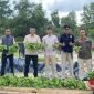 Polres Lingga Panen Perdana 50 Kilogram Pakcoy, Dukung Program Ketahanan Pangan Nasional (dok/photo)