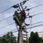 Kurangi Risiko Pemadaman, PLN Batam Gencarkan Pemeliharaan Preventif (dok/photo)