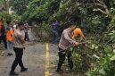 Respon Cepat Aparat dan Warga Evakuasi Mobil Ekspedisi Tertimpa Pohon ((dok/photo)