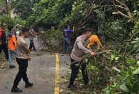 Respon Cepat Aparat dan Warga Evakuasi Mobil Ekspedisi Tertimpa Pohon ((dok/photo)