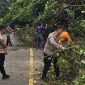 Respon Cepat Aparat dan Warga Evakuasi Mobil Ekspedisi Tertimpa Pohon ((dok/photo)