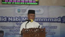 Bupati Anambas Aneng  (dok/photo)
