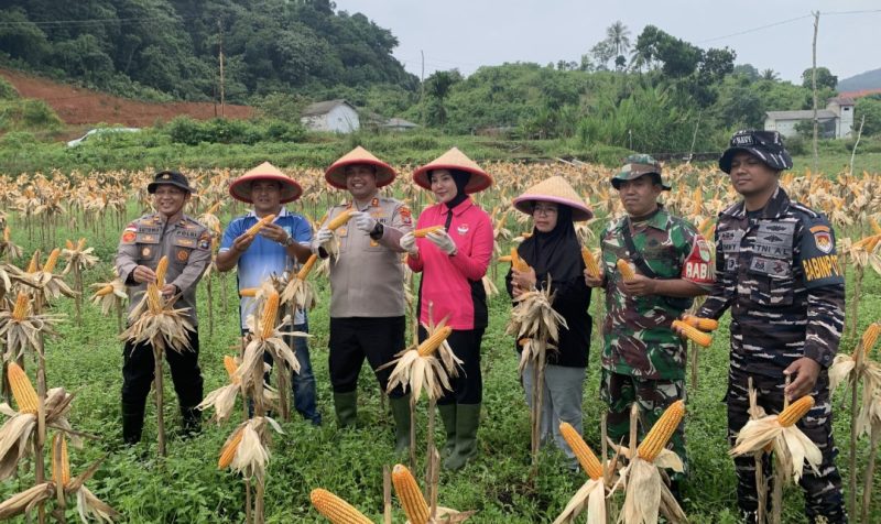 Polres Anambas Panen Raya Jagung (ket/photo)