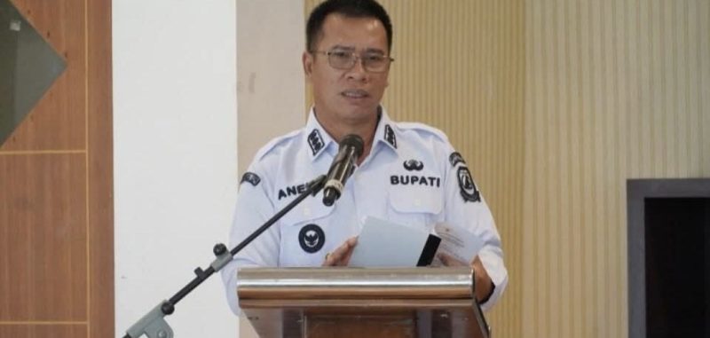 Bupati Anambas Aneng (ket/photo)