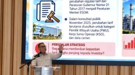 Anggota/Deputi Bidang Investasi BP Batam Fary Djemy Francis (ket/photo)