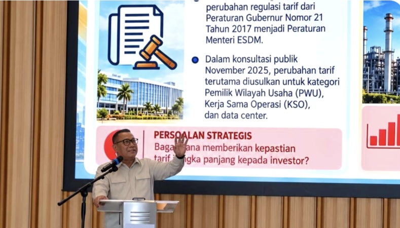 Anggota/Deputi Bidang Investasi BP Batam Fary Djemy Francis (ket/photo)