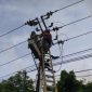 Petugas Pemeliharaan PLN Batam (ket/photo)